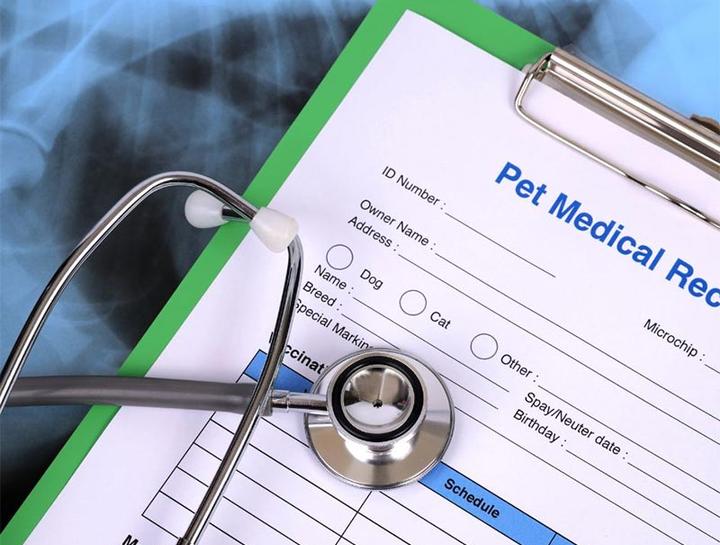 Pet Portal Clementon Animal Hospital